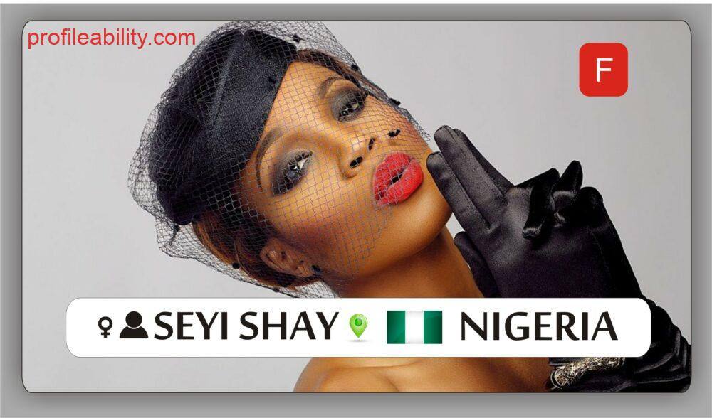 seyi-shay_profile